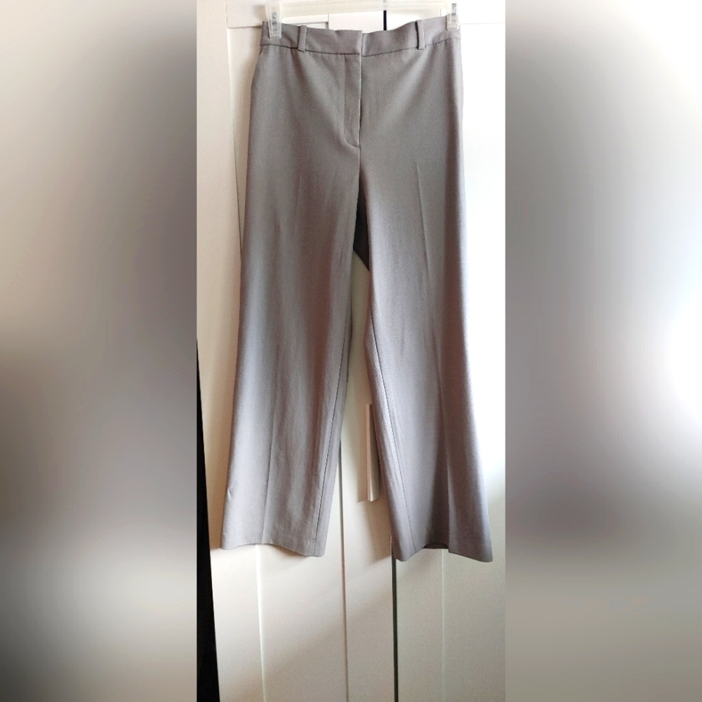 Aritzia Agency Pants (short version)